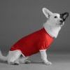 Camisetas para perros personalizadas