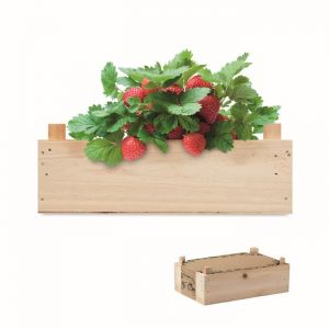 Kit de cultivo de fresas personalizado