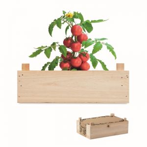 Mini-huerto tomates en caja promocional