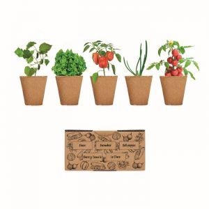 Kit de cultivo de verduras promocional
