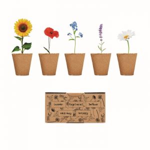 Kit de cultivo de flores promocional