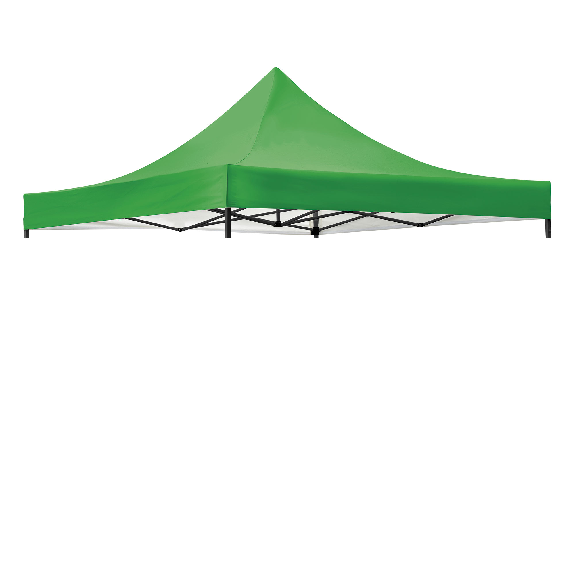 Lona Carpa Personalizada para Eventos de Acero