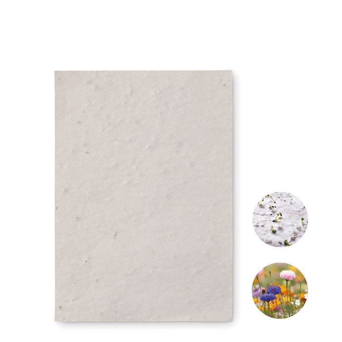 Hoja A4 de papel con semillas
