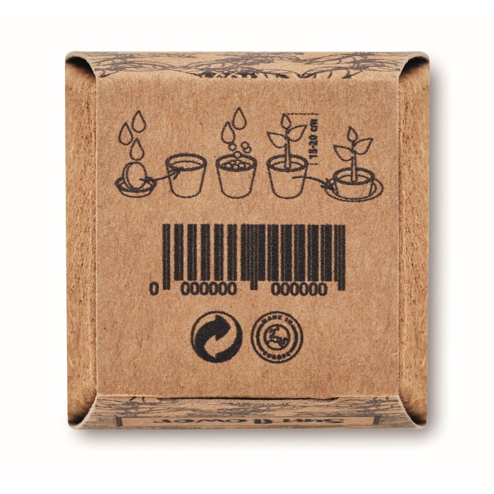 Kit de cultivo de girasoles con semillas, maceta y sustrato