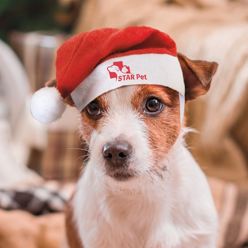 Gorro de Papá Noel Publicitario para Animales