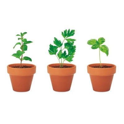 Set de 3 macetas personalizadas