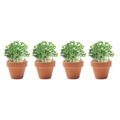Set de 4 macetas personalizadas