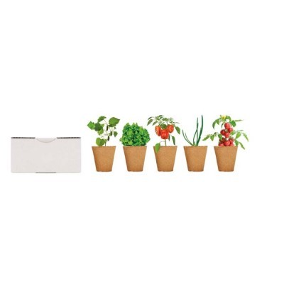 Set de 3 macetas personalizadas