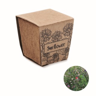 Kit de cultivo de girasoles con semillas, maceta y sustrato