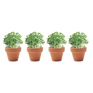 Set de 4 macetas personalizadas
