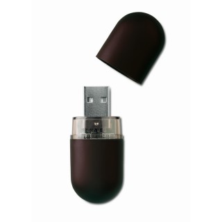 Memoria USB en Forma de Cápsula con Acabado Satinado 1–64 GB