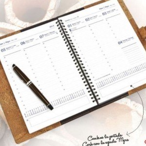 Agendas Personalizadas 2016